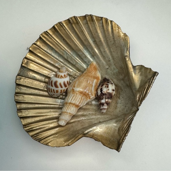 Sea Shell Jewelry Dish Trinket Catch all Ring Tray Home office ocean decor beach - Picture 3 of 5